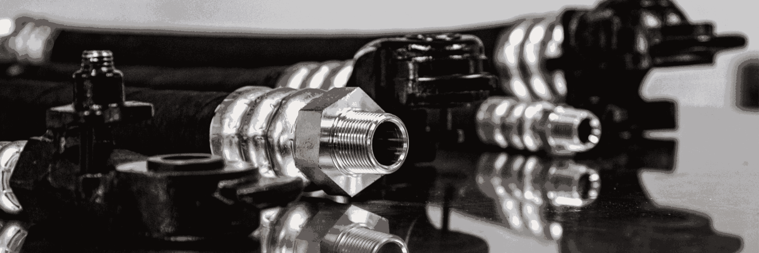 Rail Hose Fittings Taipan