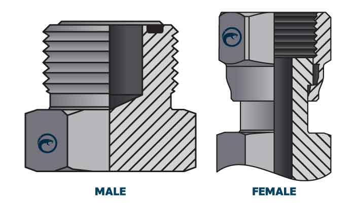 What Are The Hydraulic Adaptor Standards? - Taipan Hydraulics - Hydraulic Hose And Fittings